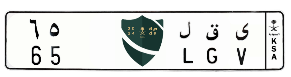 لوحة ى ق ل 65